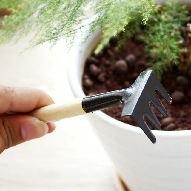 1/2/2003 Készletek Mini Kerti Szerszámok Készlet Fa Fogantyúk Lapátcsontos Cserepes Virág Kütyü Növény Bonsai Tools Repoting Kit - Image 4