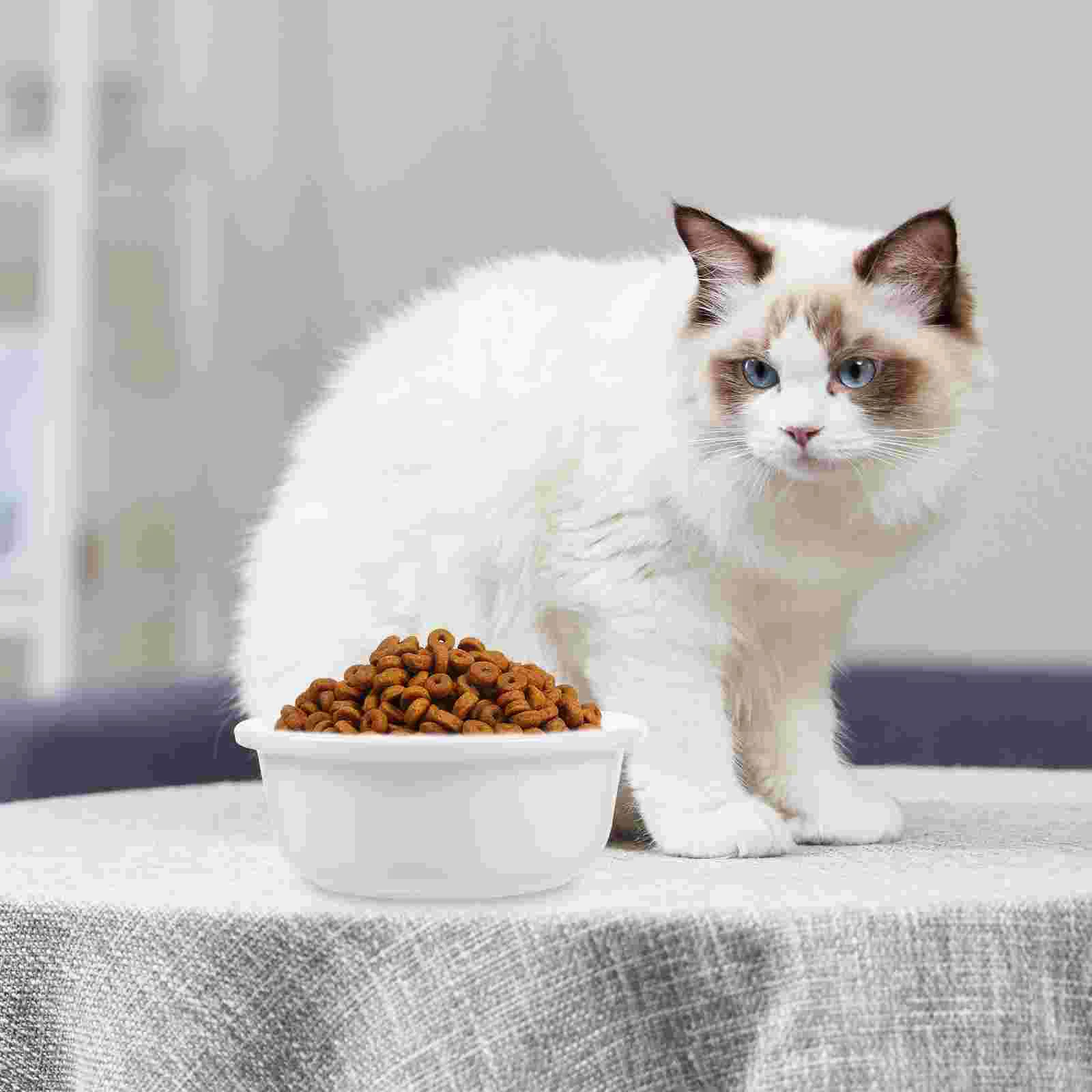 

Ceramic Cat Food And Water Bowl Reusable Pet Dog Food Feeding Bowl Food Container