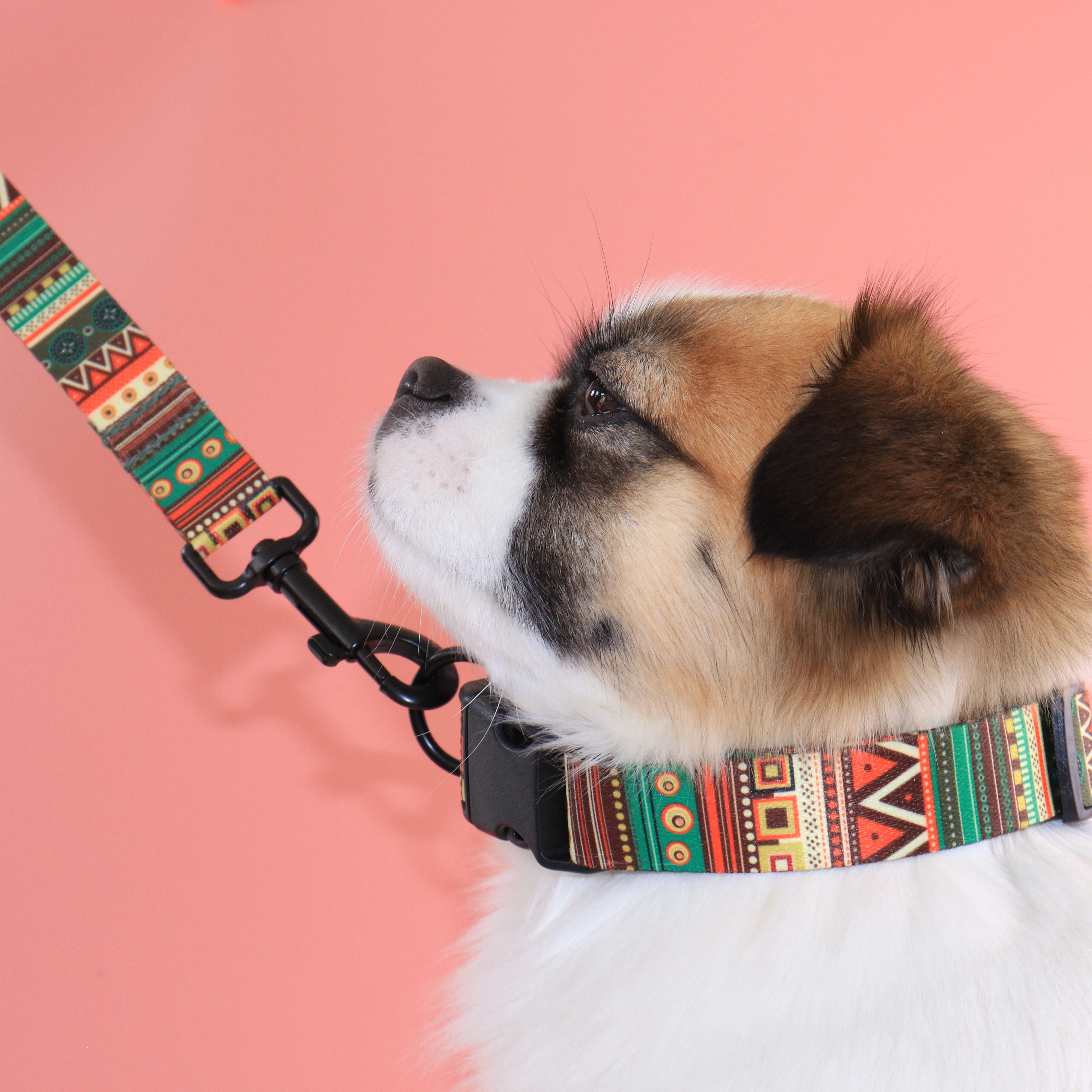 Personalized Stylish Ethnic Pet Collar Nylon Printed Dog Collar Leash Set Adjustable Free Engraved ID for Small Medium Large Dog dog collar pet harness leash set pet harness set pet leash set