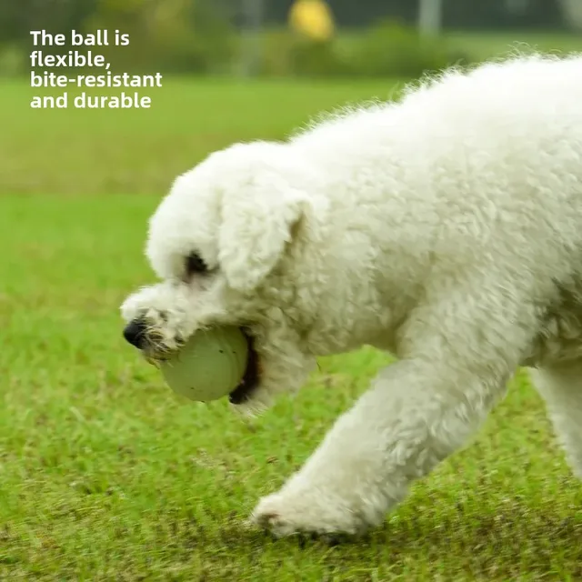 Durable Dog Toy Ball For Teeth Grinding Training For Small Medium Large Breeds Golden Retriever Labrador German Shepherd 3