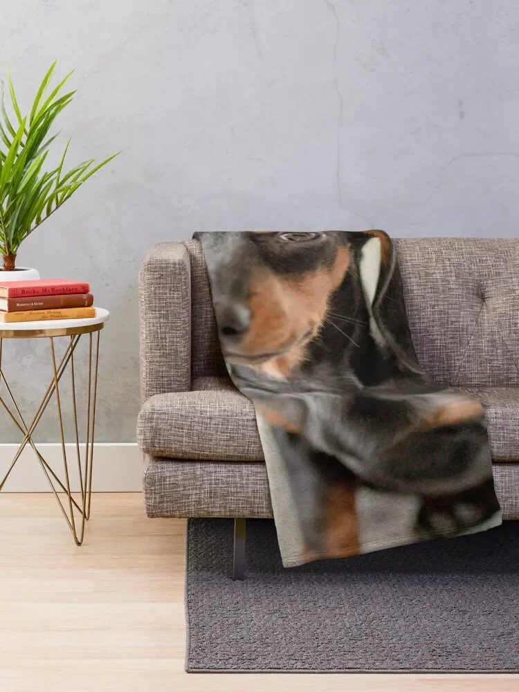 ���� �ڽ���Ʈ ������ ���, ���Ÿ� ����, ũ�������� ���� ���