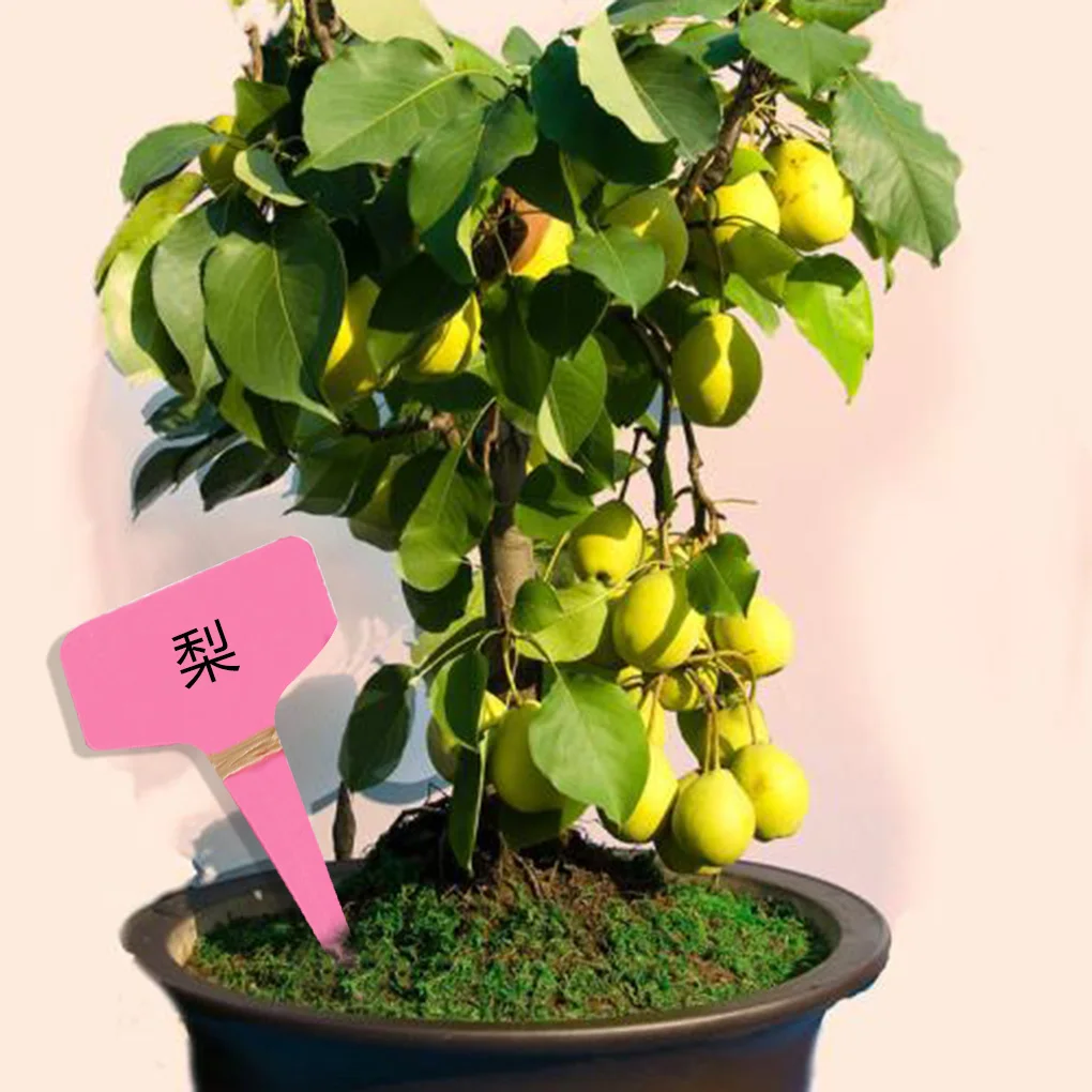 

Pack of 10 Garden Label Multicolored Multipurpose Plastic Labels Plant Mark