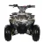 atv
