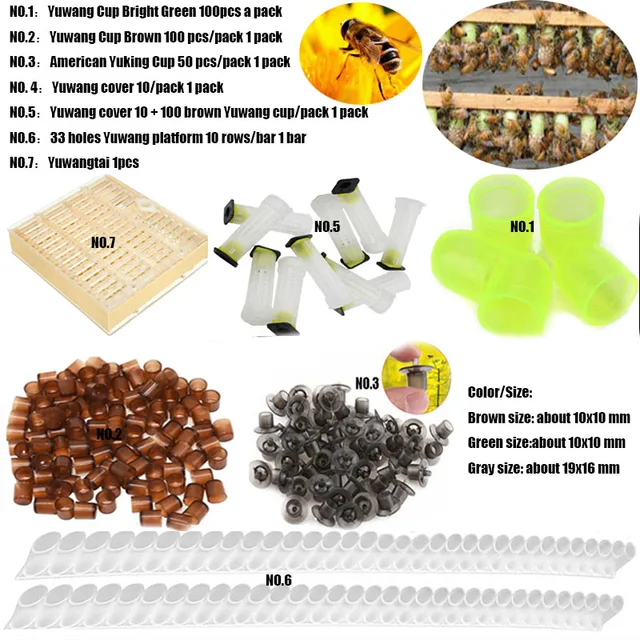 1-100 Százalék Méhkirálynő Tenyésztés Új Műanyag Barna/Zöld/Szürke Cella Ketrecek Szoba Csésze Ketrec Méhek Szerszámok Méhészek Felszerelése
