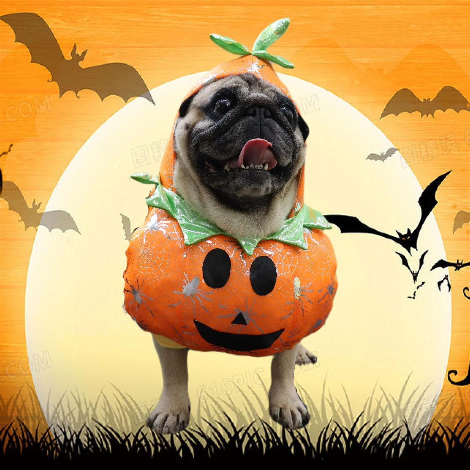 

Костюм для косплея на Хэллоуин для собак малые и средние собаки костюмы с шляпой щенок забавная одежда для питомца