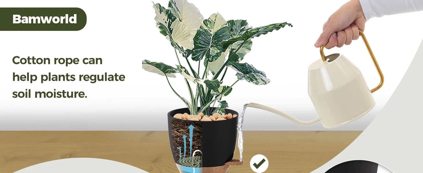 plant pot