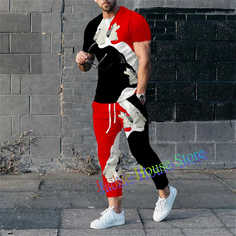 Men Fashion Trend T-Shirt Trousers Set Summer Aniaml Tracksuit Male Outfit 2 Pieces Casual Streetwear Suit Vintage Clothing