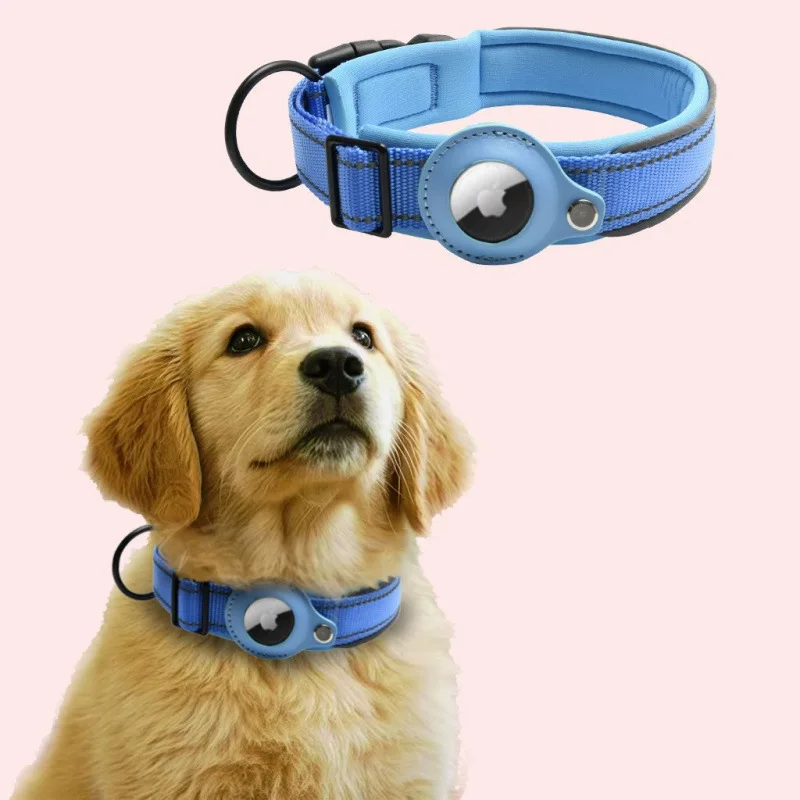 Sky Blue For Dogs