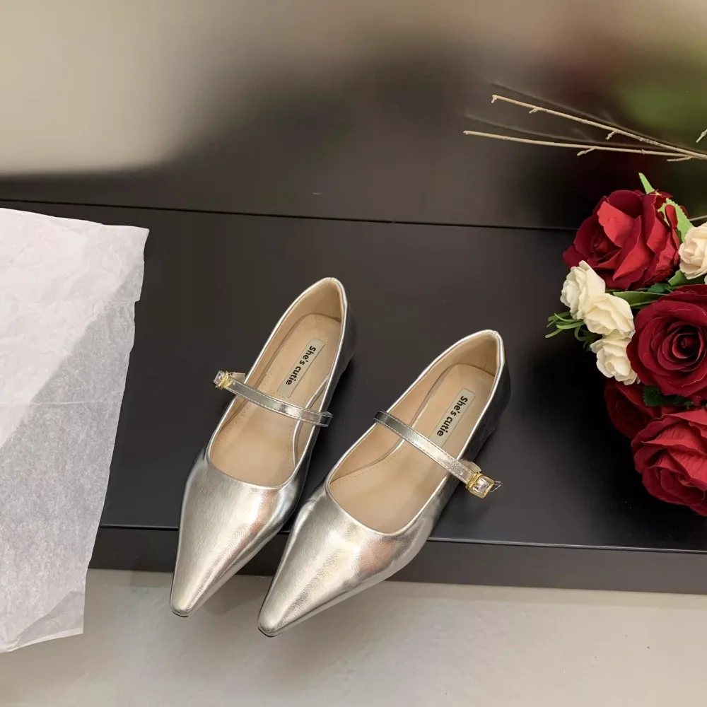 2025 Spring and Autumn New Fashionable Silver Mary Jane Shoes French Pointed Flat Bottom Women's Leather Shoes 2