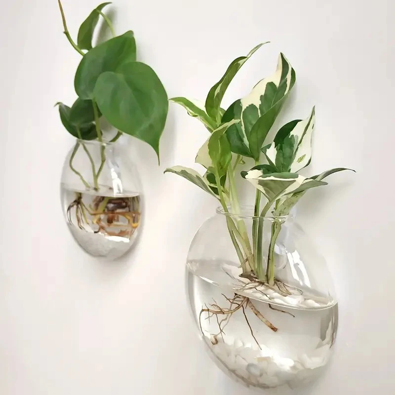 Wall-Mounted Glass Plant Terrarium 4