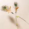 Cat Toys Feather Cats Sticks Springs Steel Wire Handle Peacock Feather Interactive Cat Toy Bite Resistant Toys for Cats Teasing 6