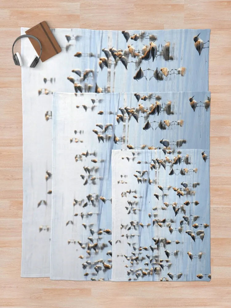 �ؾȻ� ������ ��� �̱� ��� �ʴ��� ������ ��� ���� ���