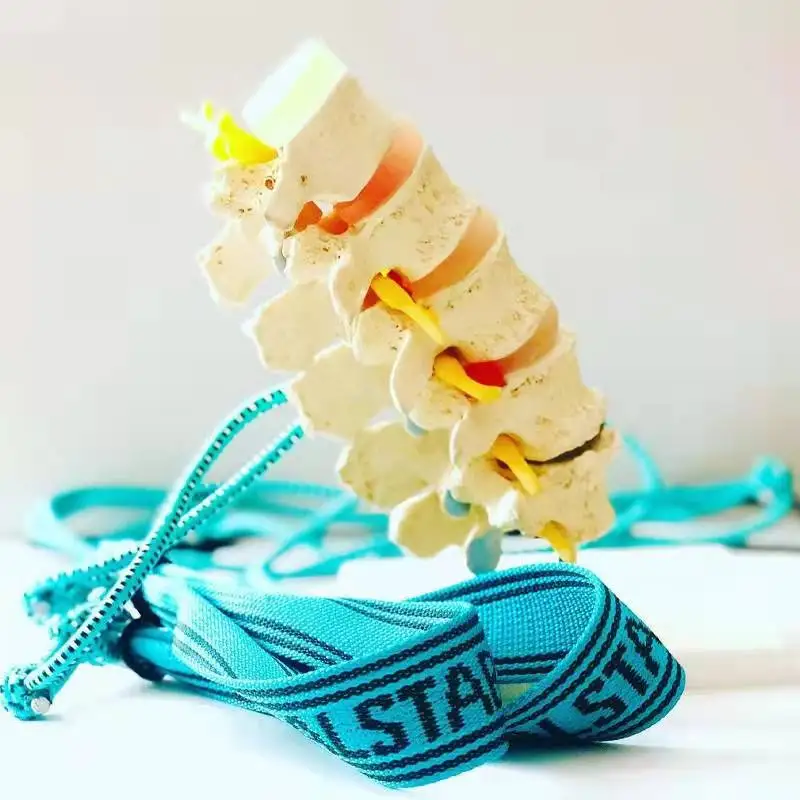 

Indoor Muscle Spiral Stability Training Elastic Rope Scoliosis Rehabilitation Gymnastics Manipulation Fascia Chain Belt