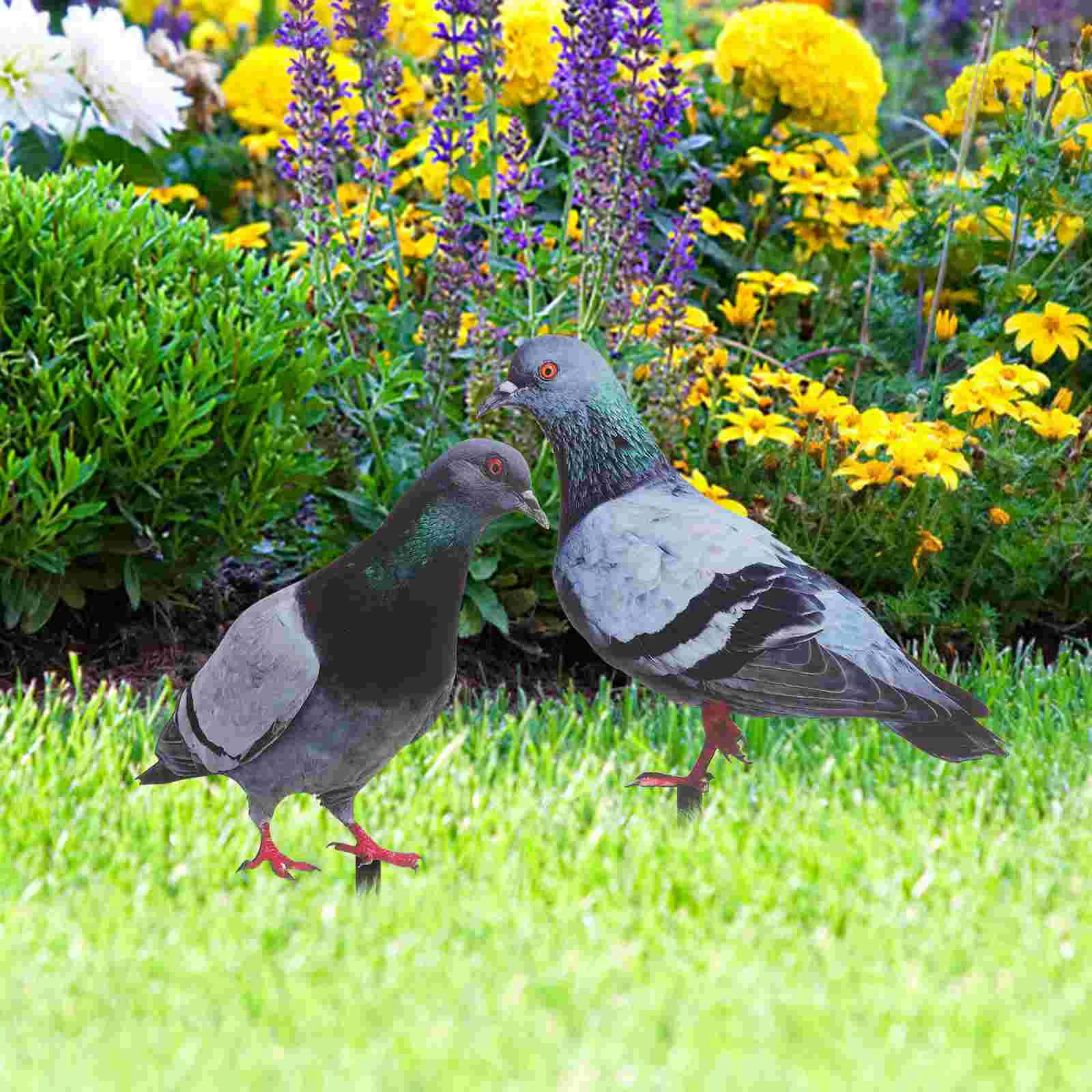 

2 Pcs Pigeon Garden Decoration Yards Art Stake Accessory Decorative Outdoor UV Lawn Sign Acrylic Ornament Adornment