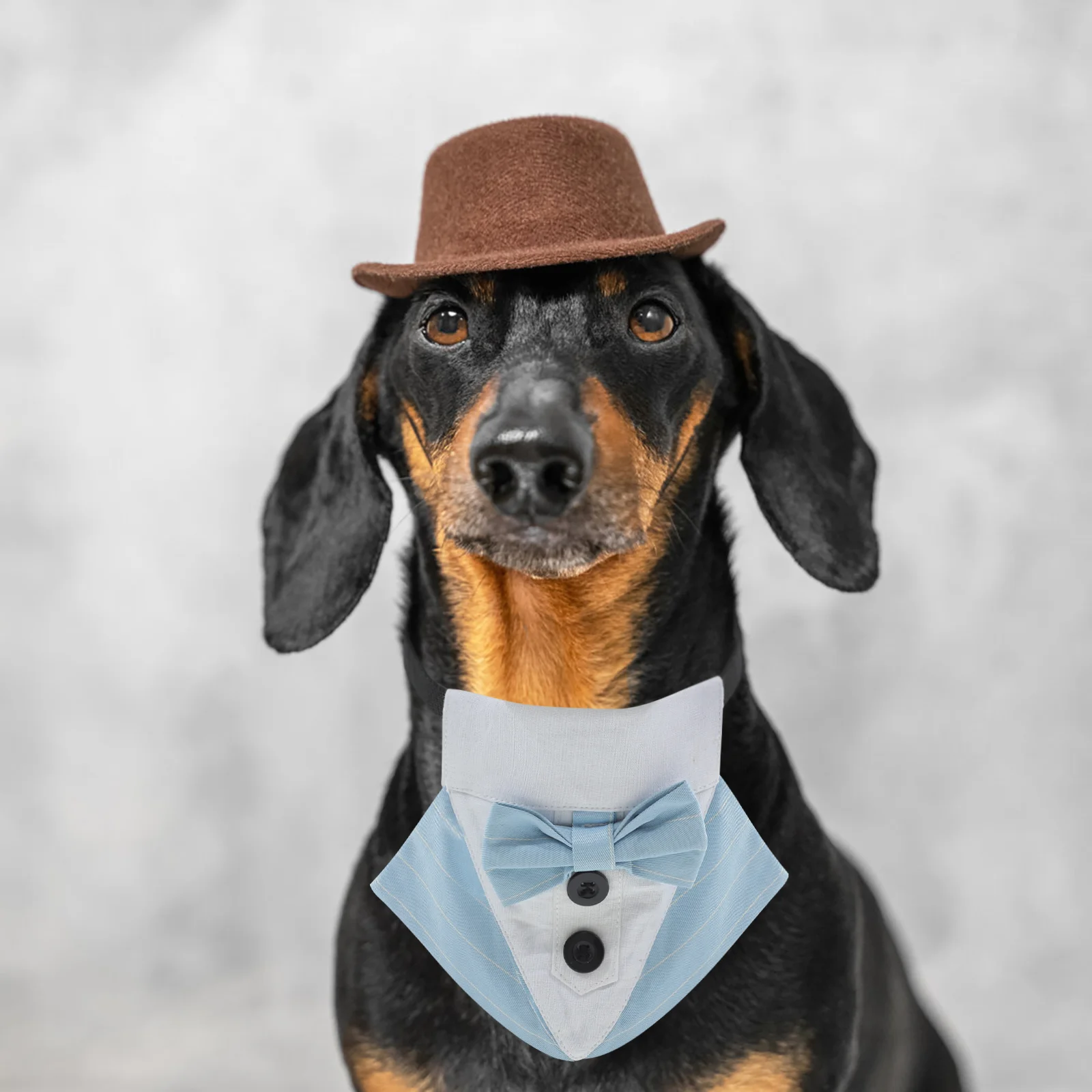 

Dog Bandana Puppy Saliva Towel Pet Suit Bandana Adjustable Dog Cool Bib Pet Collar
