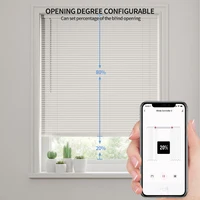 WiFi Tuya Smart Electric Blind Driver Motorised Curtain Chain Roller Timer With RF Remoter Alexa Google Assistant Voice Control - Image 5