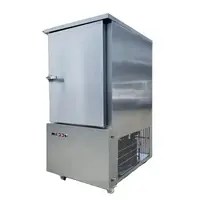 China Supplier Multi-function ultralow temperature spiral freezer quick machine 330L CFR BY SEA 2