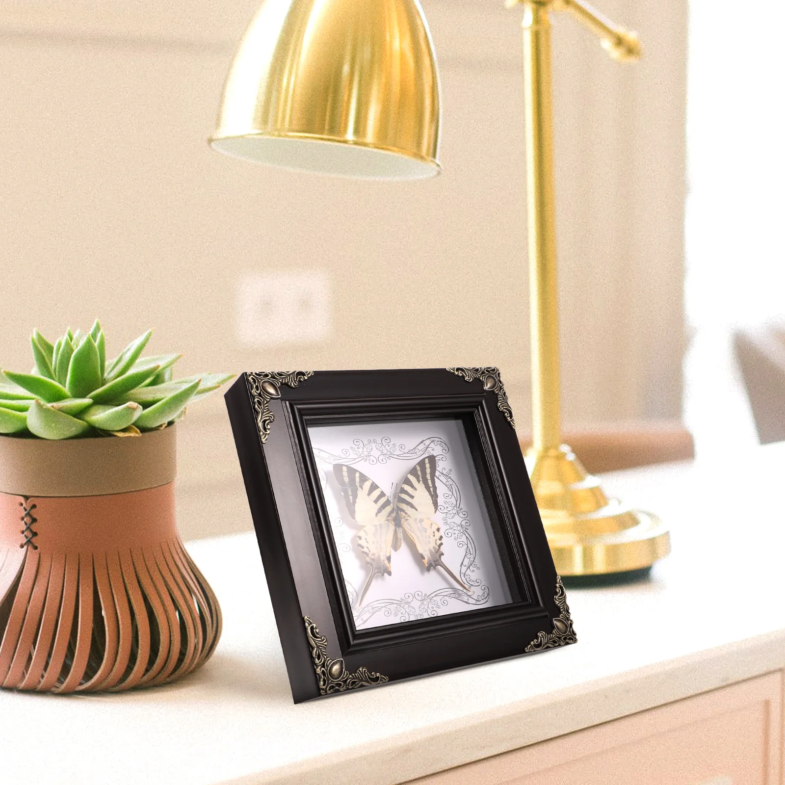 

Butterfly Specimen Photo Frame Monarch Taxidermy Picture Frames Household Desktop Decoration Decorate