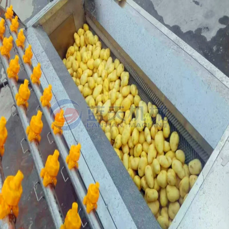 Brush roller type potatoes yam root vegetables fruit washing peeling cutting machine carrot washer walnut cleaning machine 2