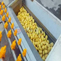 Brush roller type potatoes yam root vegetables fruit washing peeling cutting machine carrot washer walnut cleaning machine 2