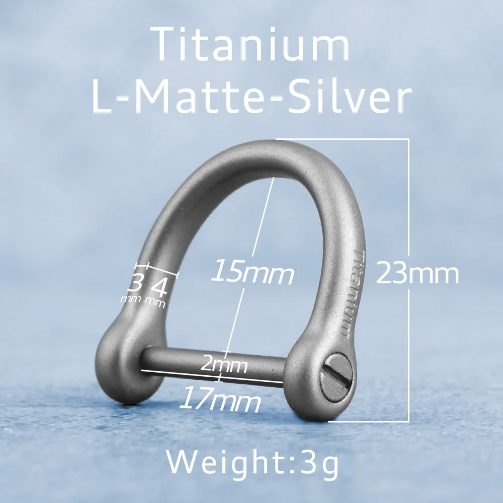 Black Titanium D Buckle Keychain with Horseshoe Design – Premium EDC Accessory