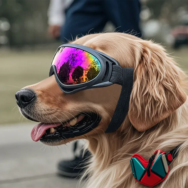 Adjustable Dog Sunglasses – Outdoor Protective Glasses for Small & Large Dogs 2