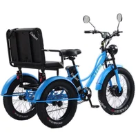 24 pouces 3 roues vélo électrique hors route 750w48v passager Tricycle électrique 2 places pour femme homme VTT 3