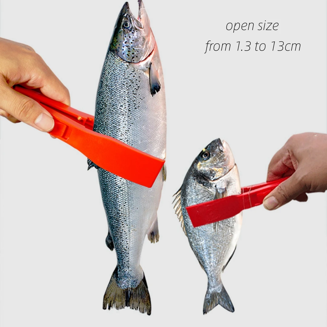 

Fishing Grabber ABS Plastic Fish Gripper Controller with Anti-Lost Chain Multifunctional Fishing Clip Tackle Accessories Tool