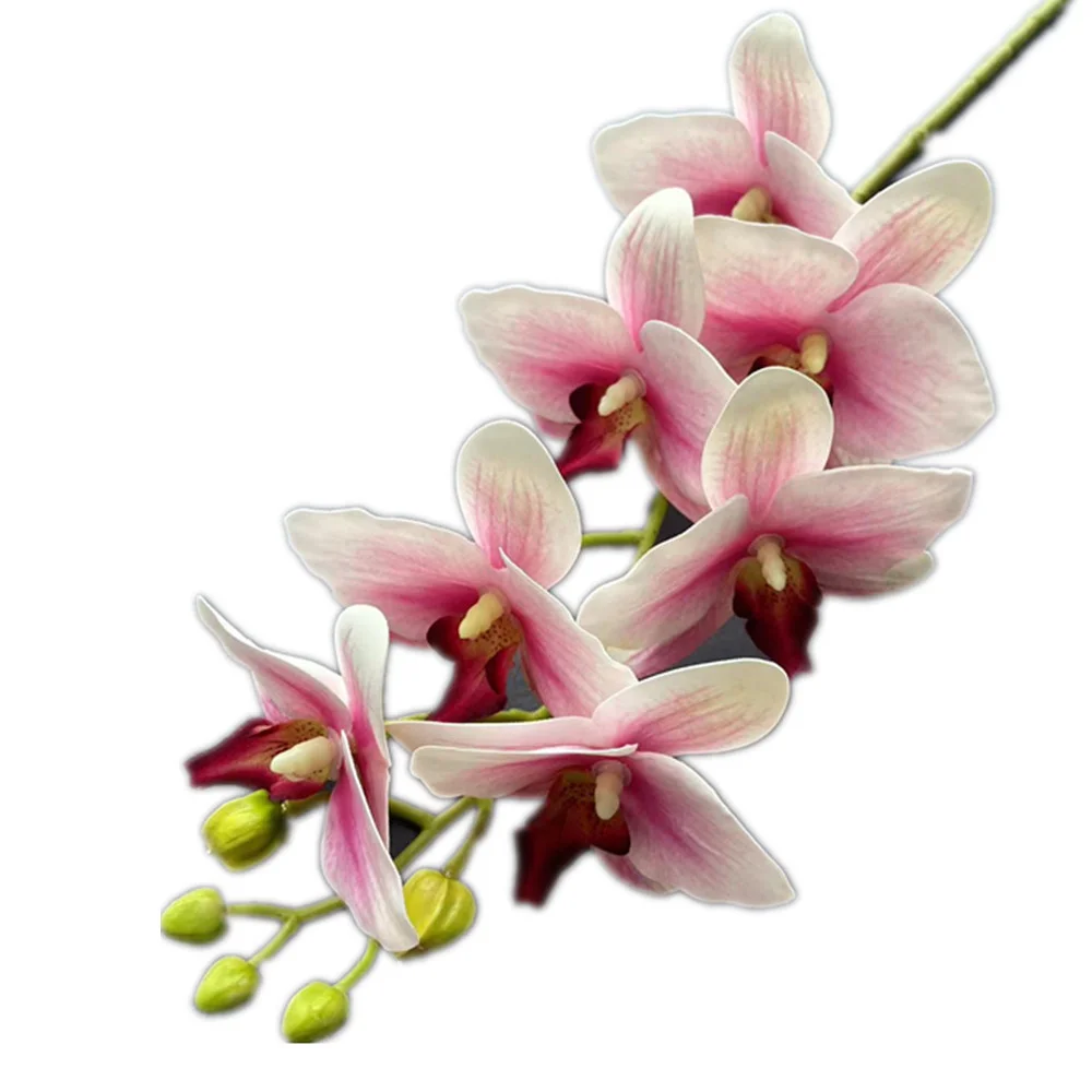 Slide image e10a4b34c59b490ea2285cf18cfad518