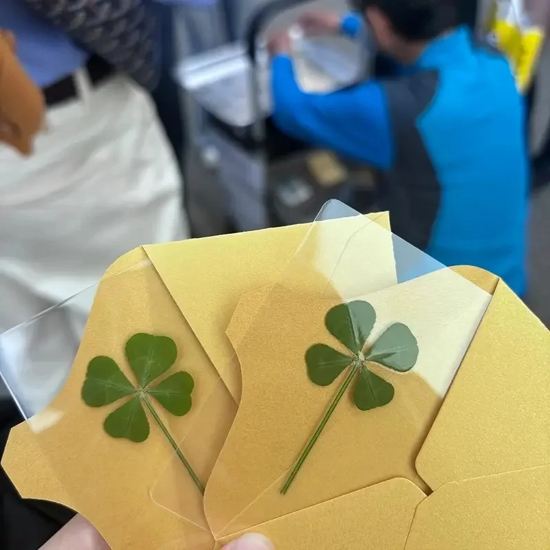 Clover postcard 15Pcs Lucky Simulation Four-Leaf Clover Postcards Shamrock Stems Transparent Wishing Cards Bookmarks & Decorations