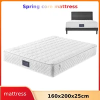 Anajqaqia 160x200x25 см Матрас с пружинным сердечником, 7-зонный матрас из холодной пены H3, сертифицирован 100% Oeko-Tex