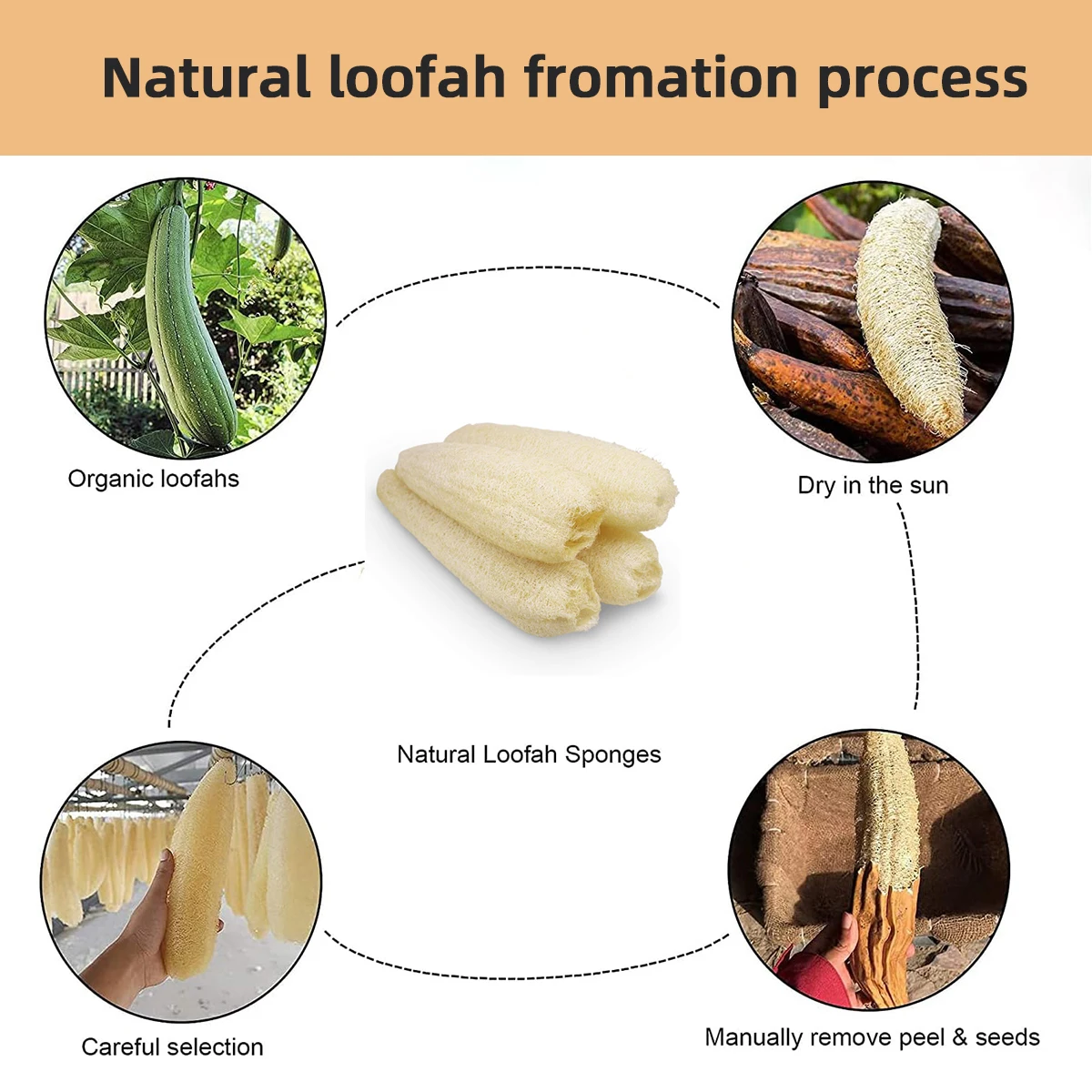 Eco-Friendly Natural Loofah Exfoliating Sponge