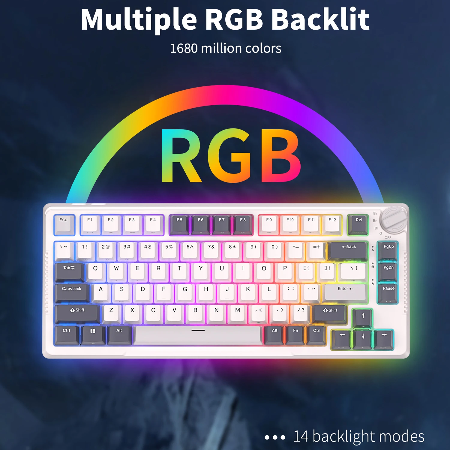 RK H81 Royal Kludge Gasket Structure Tri-mode Mechanical Keyboard 81 Key 80% RGB Backlit 2.4G Wireless Bluetooth Gamer Keyboard