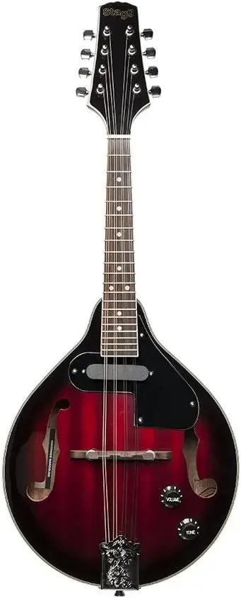 Acoustic-Electric Bluegrass Mandolin with Nato Top-Redburst