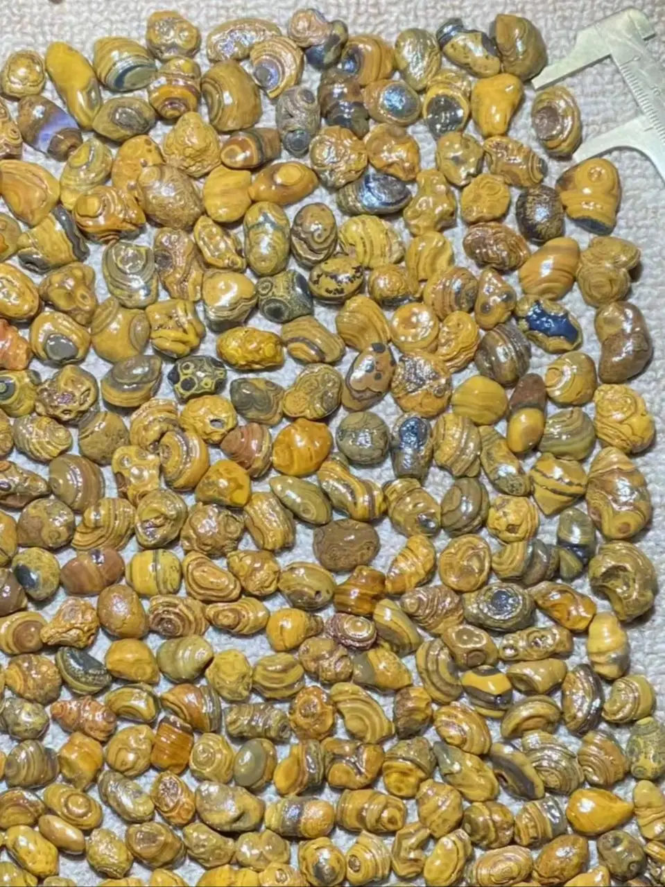 277pcs/lot boutique natural three-dimensional relief surface coin eye stone loose beads Gobi agate grain Pretty rare