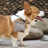 Dog Training Snack Bag Outdoor Travel Pet Dog Treat Pouch Portable Oil Resistance Food Dispenser Bag Durable Pet Accessories 5