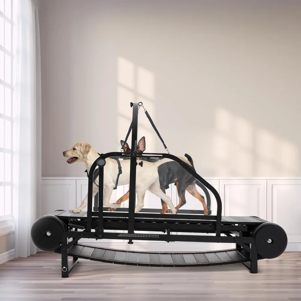 Adjustable Dog Treadmill for Medium to Large Breeds
