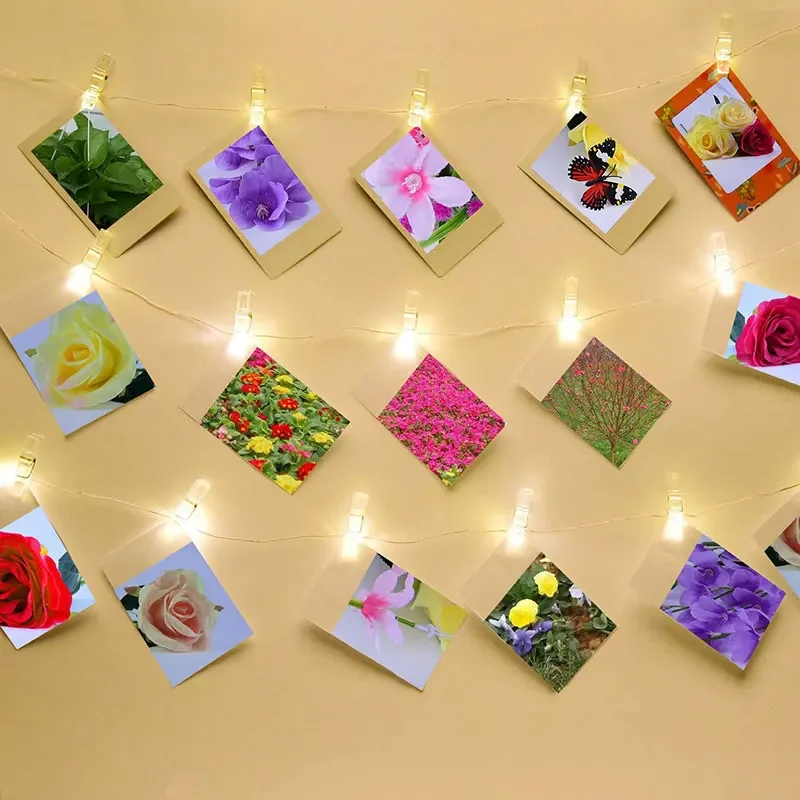 Transparent Mini Photo Clips 50/100PCS Plastic Spring Hanging Clip Pegs DIY Wedding Birthday Party Wall Decoration Photo Clamps photo clips