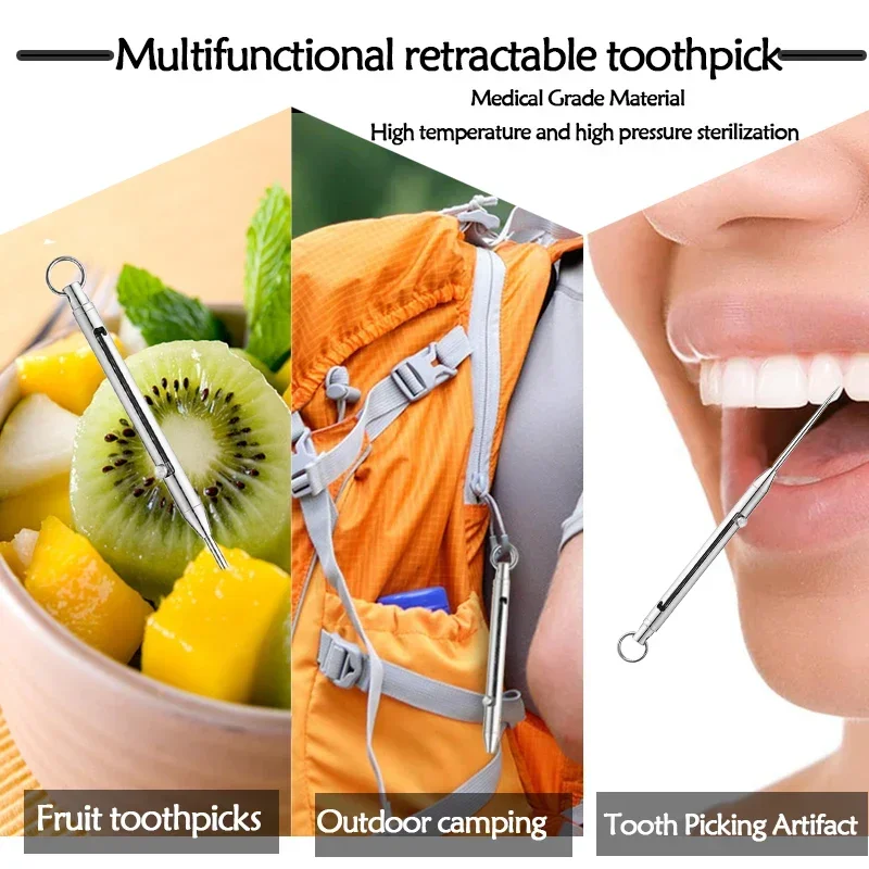 Toothpick Set Portable Titanium Pocket Toothpicks Keychain With Metal Holder for Outdoor