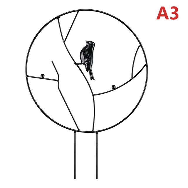 A3