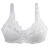 2024 New Sexy DEF Cup Bras Underwear For Women Lace Gather Steel Ring Adjustable Collection Plus Size Lingerie