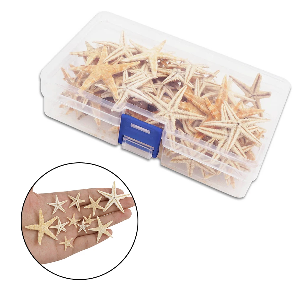 20/50/100pcs Natural Starfish Ornaments for Beach Craft Decor Wedding Party DIY Home Decor