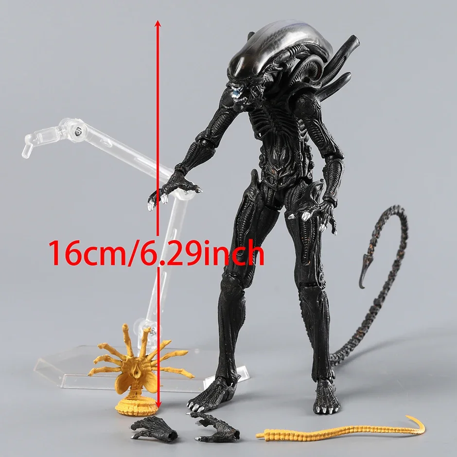 S631cddcee6a84e0cb93ce01f32bef838u - Amazing Yamaguchi Store