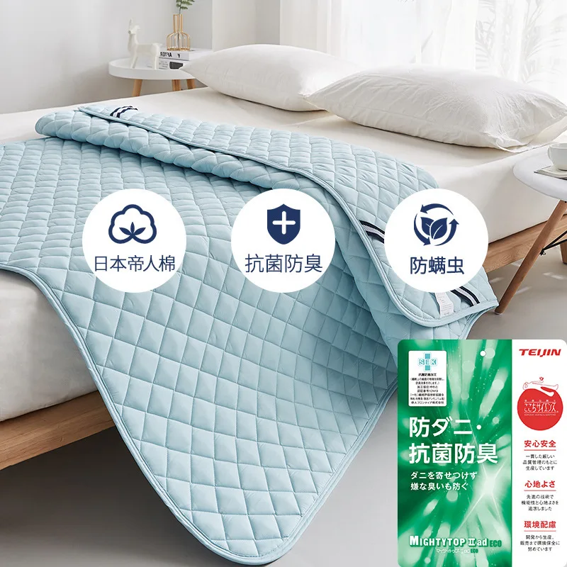 

Dropshipping Customizable Size Mattress Soft Mattress Home Tatami Mat Was The Floor Mat Student AE18-19999