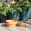 Round Plant Pot Tray Drainage Holes Imitation Ceramic Flower Pot Plate Gardening Supplies Flowers Plants Cactus 3