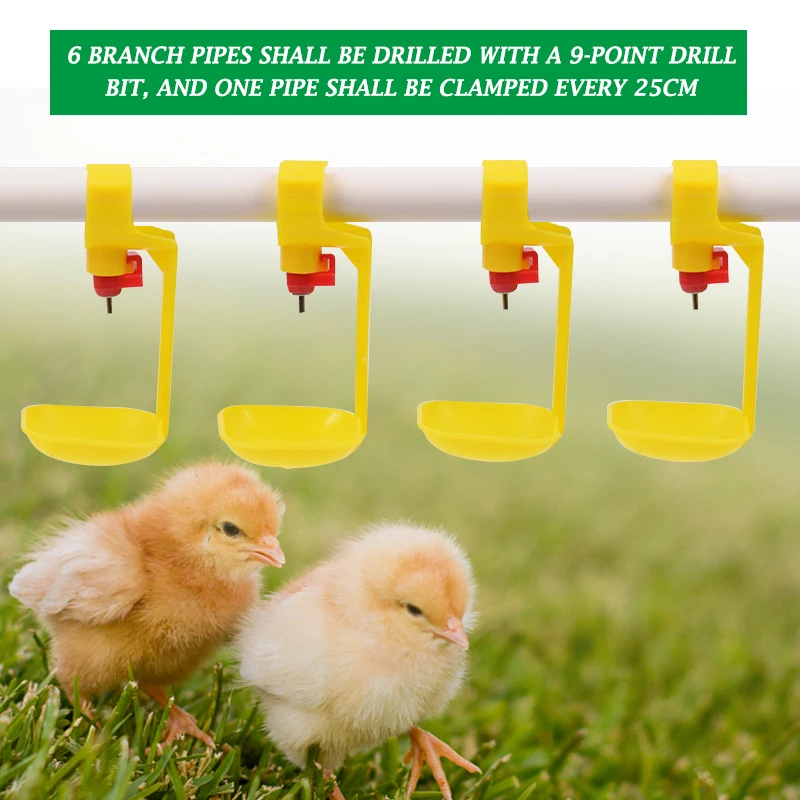 Store Home Products Summer Sale Feedback