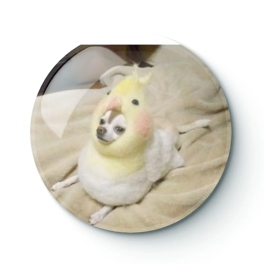 

DOG MEME 015 Buttons Brooches Pin Jewelry Accessory Customize Brooch Fashion Lapel Badges