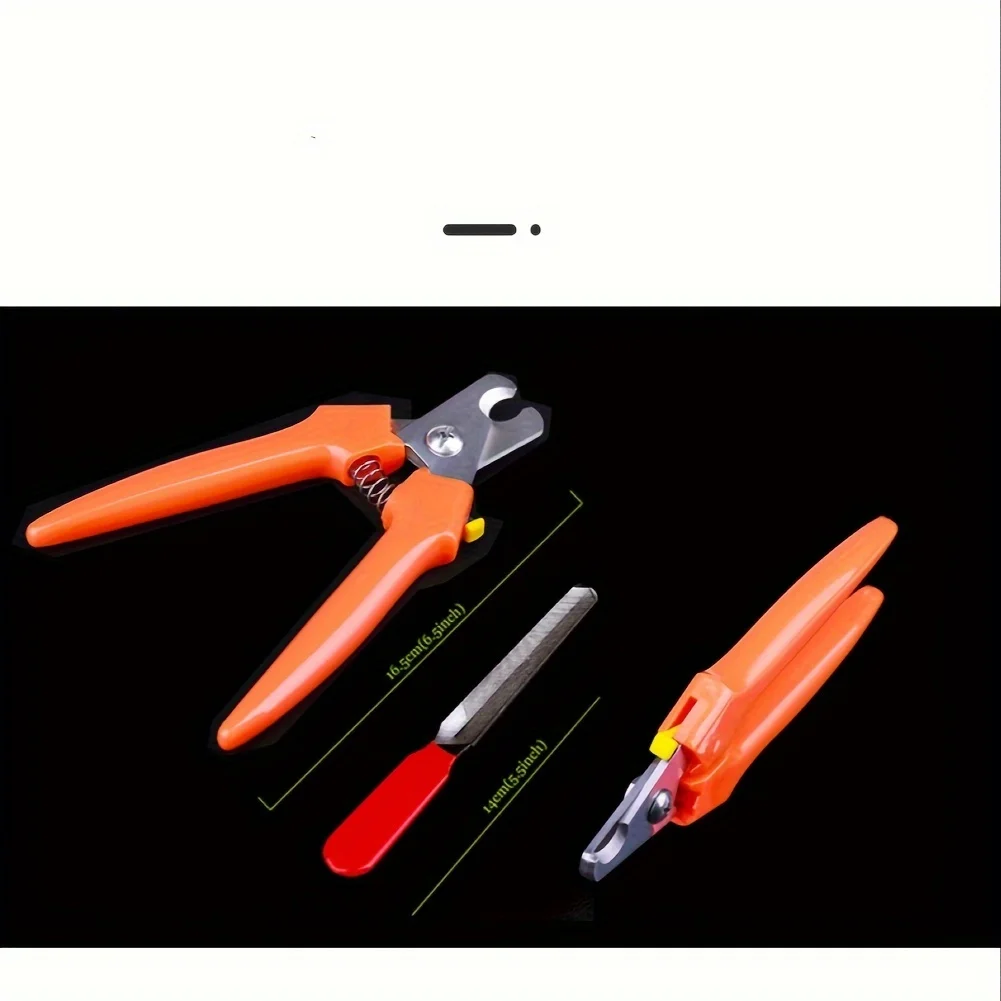Stainless Steel Bird Nail Clipper for Parrots and Small Pets-Ergonomic Grooming Tool with Black Handles & Red Rings