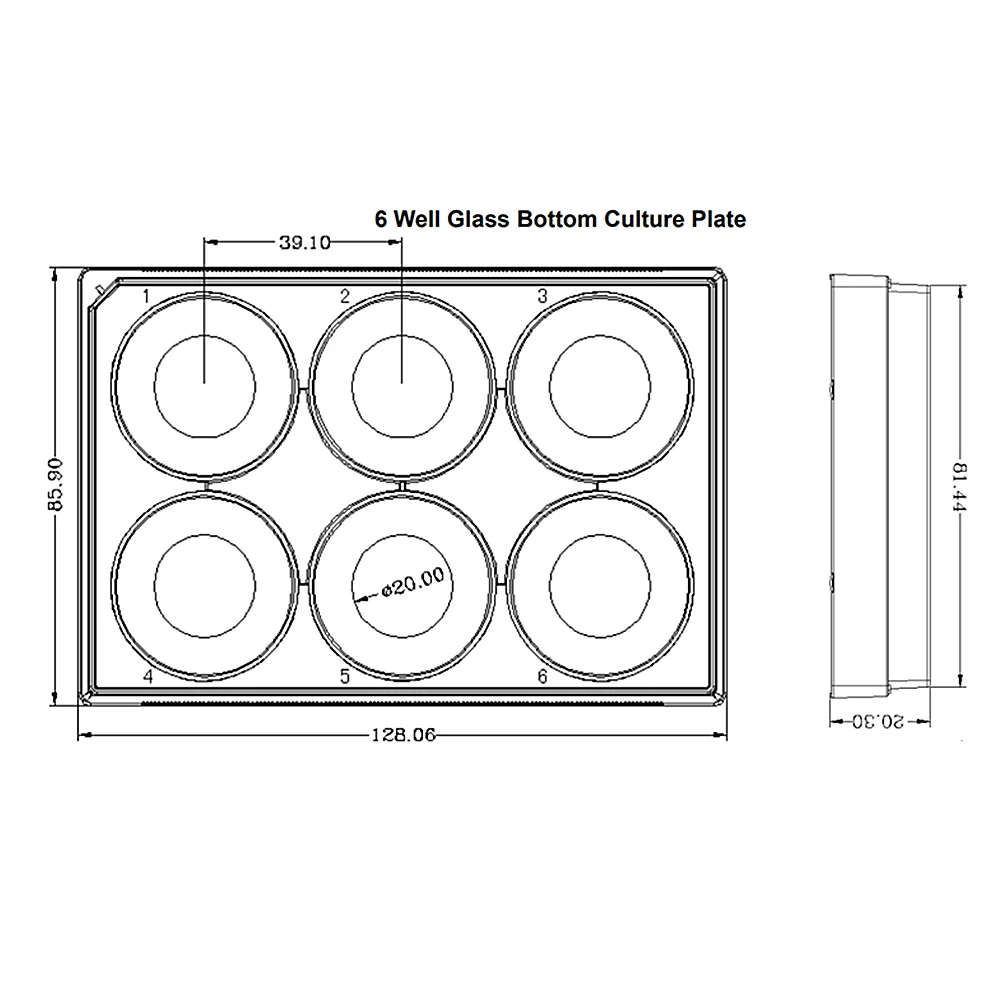 6 Well 24Wells Glass Bottom Cell Culture Plate 1/Pk