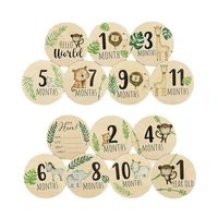 7PCS Newborn Photography Props Wooden Monthly Milestone Cards Baby Shower Gifts for Boys and Girls Photography Accessories 3